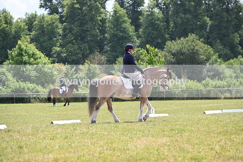 WJ6_7395 - Time 12:25 to 12:56