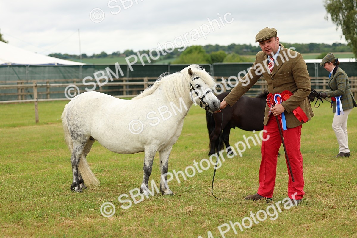 SBM_03527 - Class 58-67 - M&M Non Welsh Pony In hand