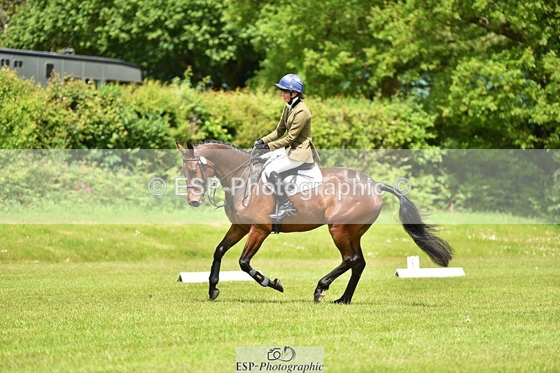 240523B-125248-02277 - 5 Year Old