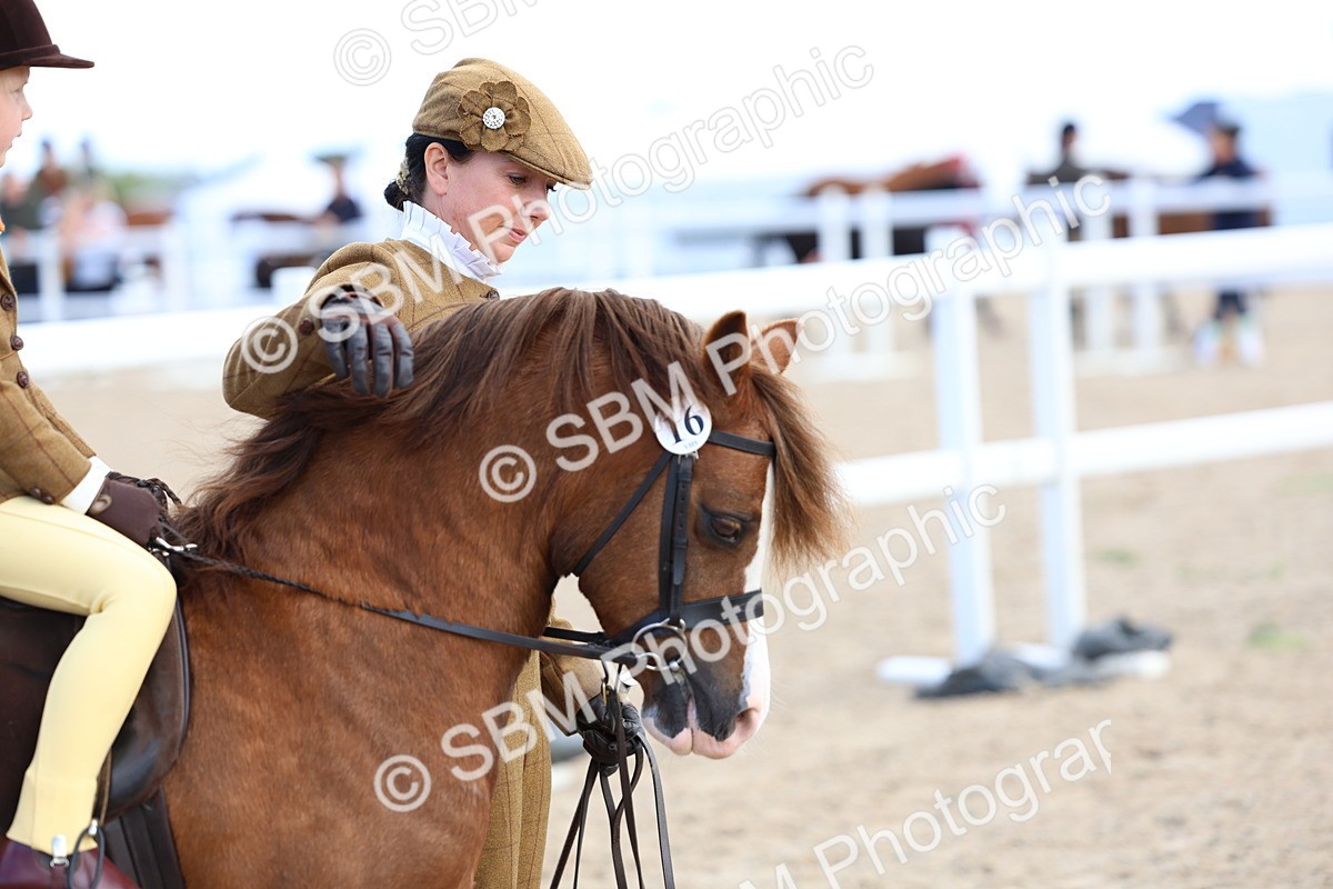 SBM_13097 - Class 309 - Lead Rein Pony