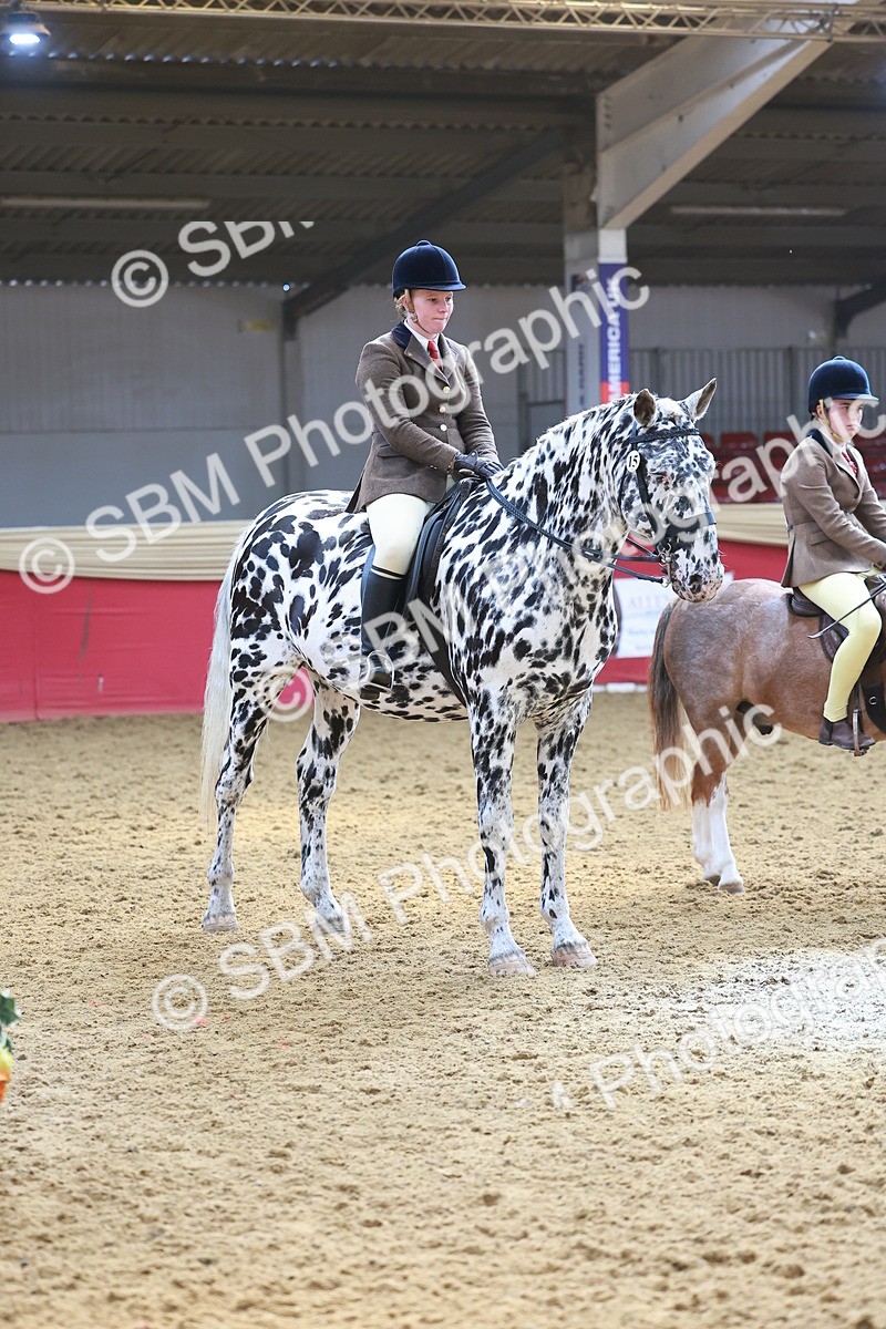 SBM_12636 - Class 103 - HOYS Veteran Qualifier - Ridden Pre Vet