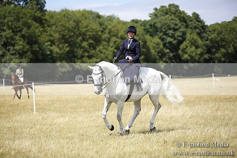 _C7A0245 - Side Saddle Classes BVRC Show 2018