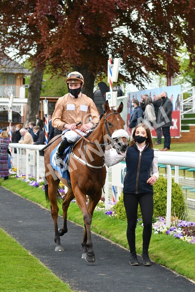 yr14052021r1-38 - Race 1 1.40pm Langleys Solicitors British EBF Marygate Fillies' Stakes
