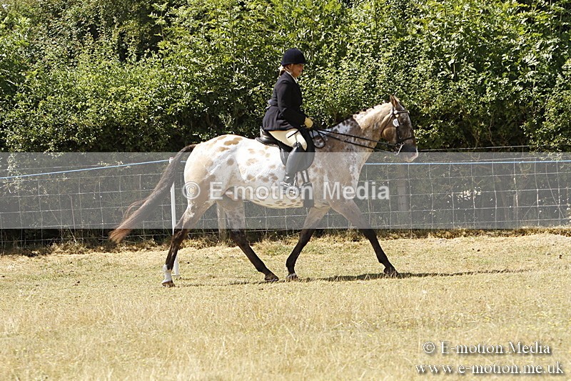 _BS_0728 - BVRC Show 2018 Ring 1