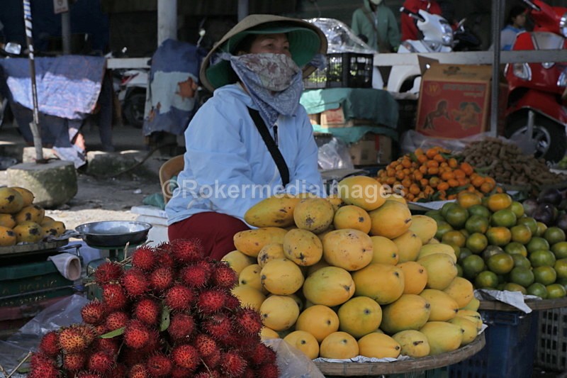 VIET_0867 - Vietnam 2017