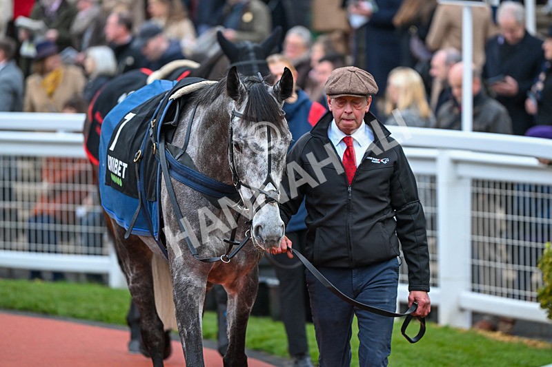 171124-Race 5-Paddock-Be Aware-3674 - Race 5