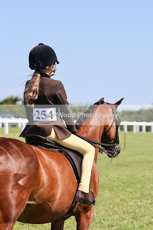 IMG_2018 - Class 34: Show Hunter Pony 153cm and under