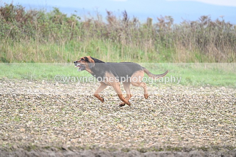 WJ7_0205 - Camera 1 & Last fence
