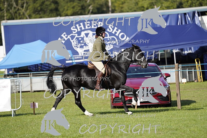 _DSC9605 - Class 8 & 17 Ridden Hunter & Ridden Hunter Pony