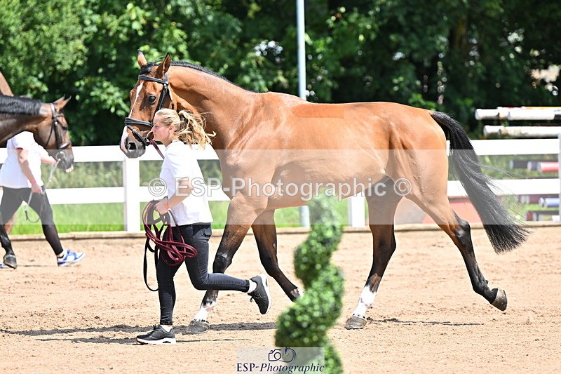 240718A-105242-01049 - Trot Up 11am to 12pm