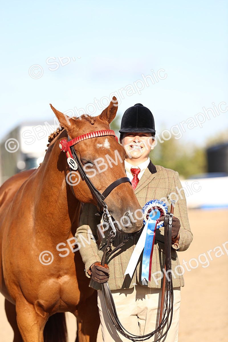 SBM_08385 - Class 401 - IH Veteran Horse