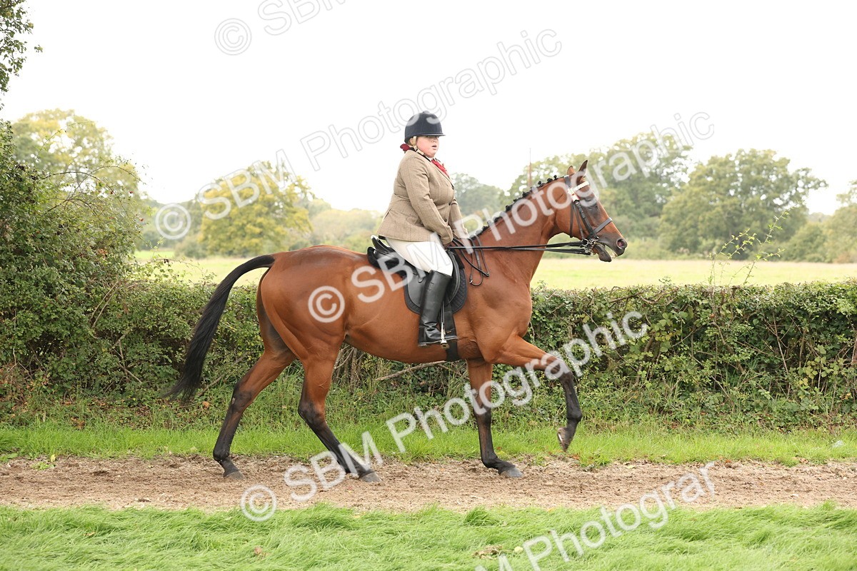SBM_64197 - S65 - Riding Horse & Hack & Thoroughbred Ridden
