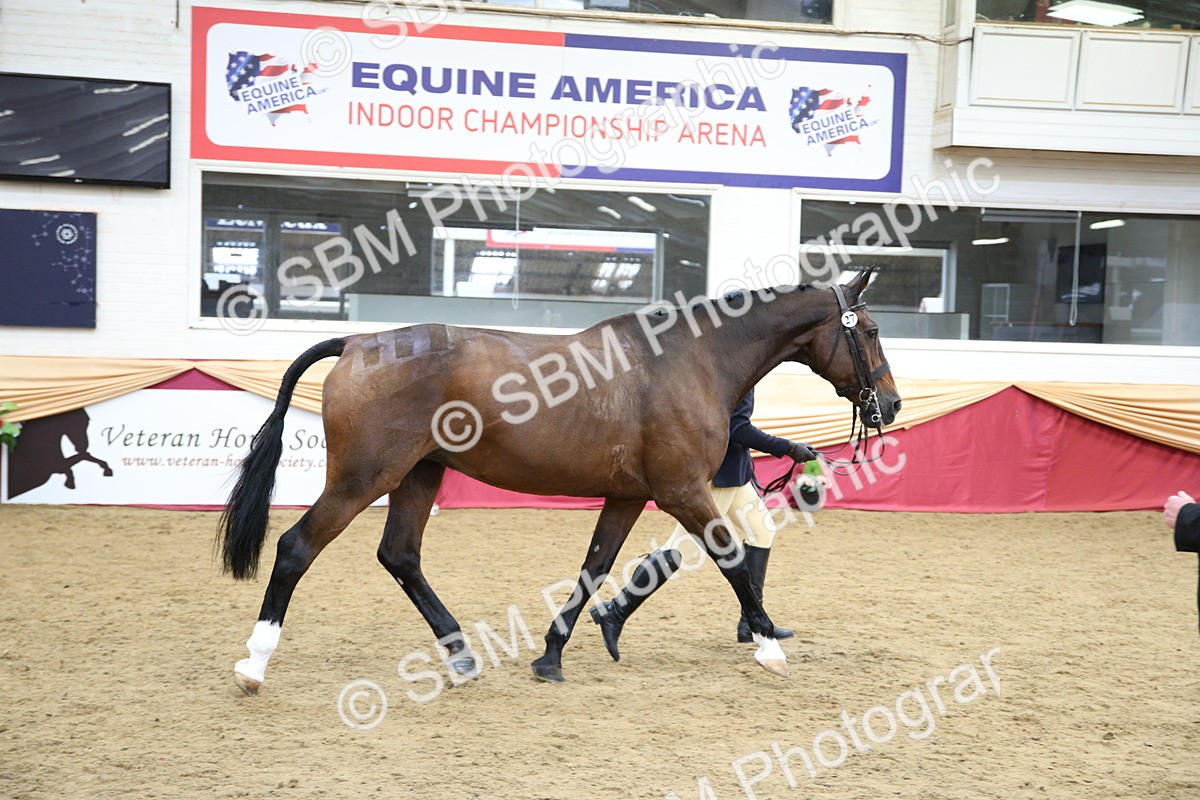 SBM_23376 - Class 904 - Supreme Final Ridden Diamond