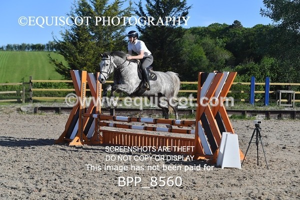 BPP_8560 - CLASS 2 Club/ Unaffiliated 80cms Open
