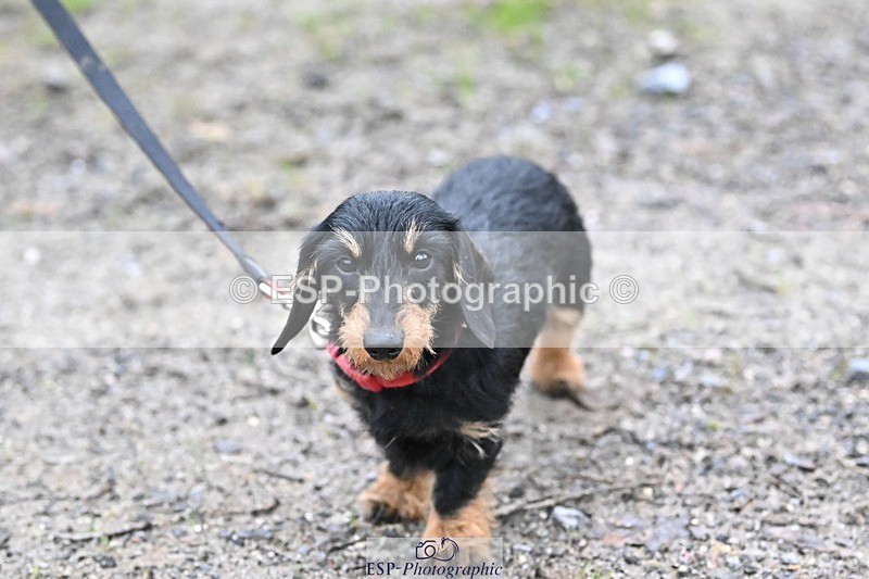 241206-144342-01141 - Naomi