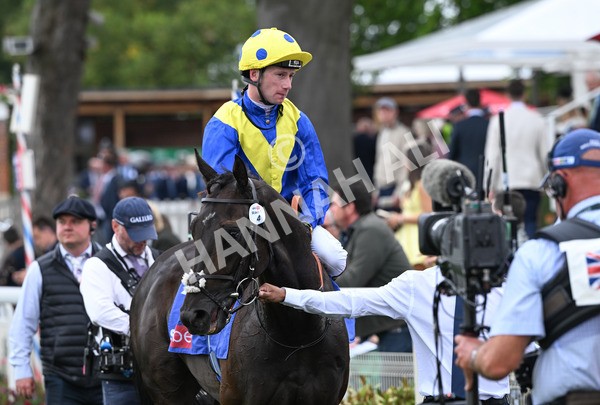 230825-087 Never So Brave - Race 3 3.00pm Sky Bet City Of York Stakes