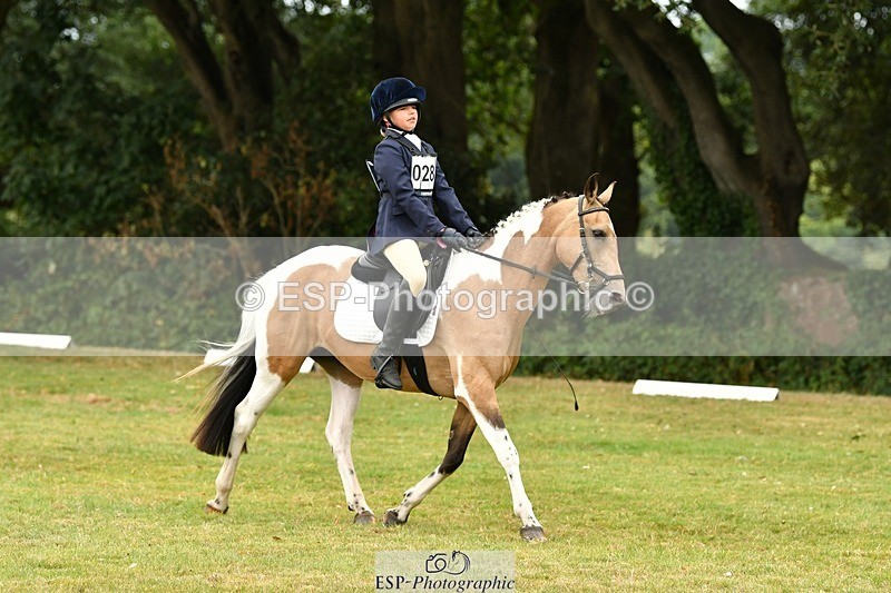 250820A-125010-05666 - 12 to 13.00