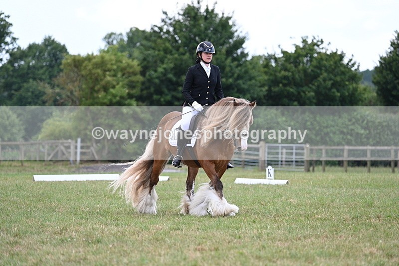 WJ7_6811 - Time 12:45 to 13:01