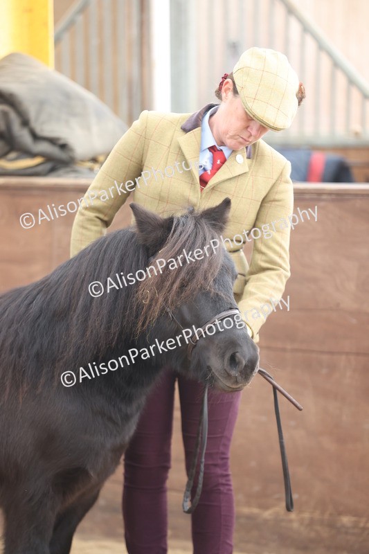 20251109-0094 - Class 5 - Mares 4 Years and over