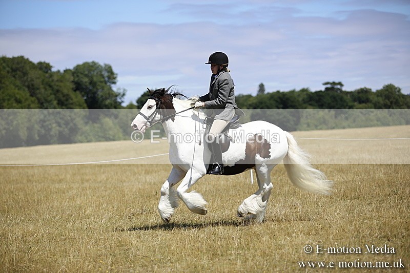 _C7A9922 - BVRC Show 2018 Ring 1