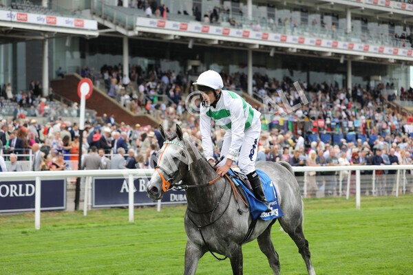 yr18082022r4-53 - Race 4 3.35pm Darley Yorkshire Oaks (British Champions Series Race)