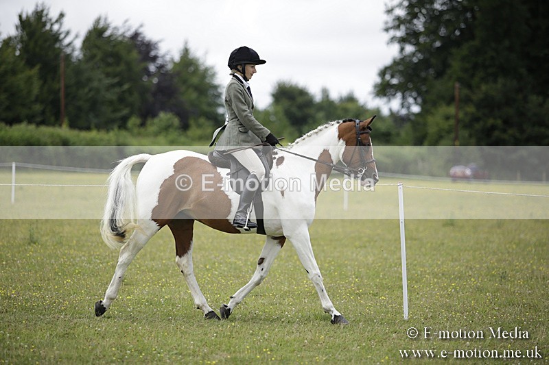 BVR160717-1877 - Ring 1 BVRC Show 16/07/17