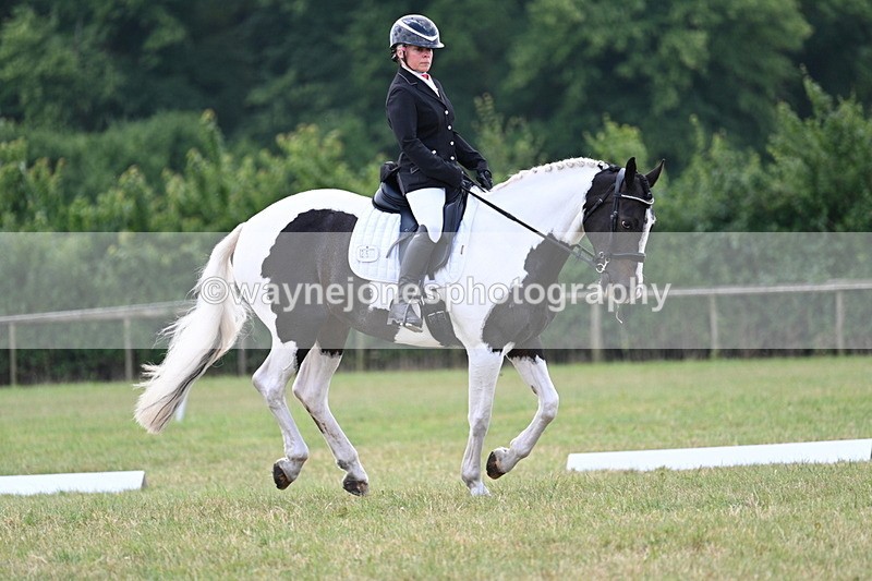 WJ7_5256 - Time 11:22 to 11:51