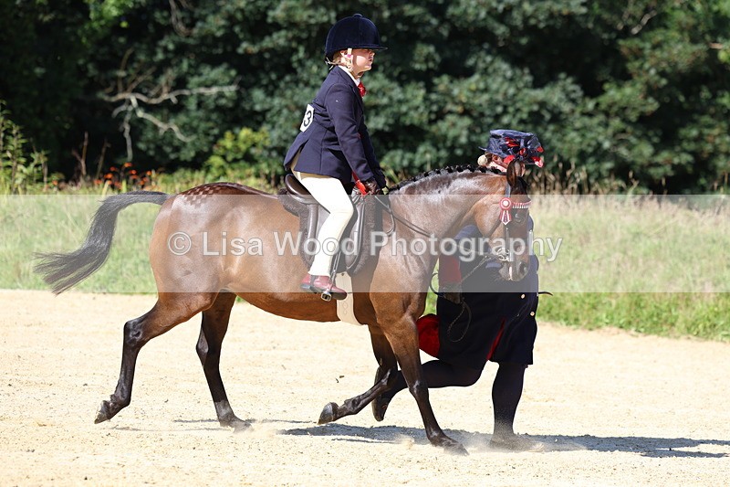 3E7A7971 - Class 14: Tack and Turnout