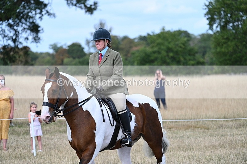 WJ7_7184 - Class 14 Ridden Coloured