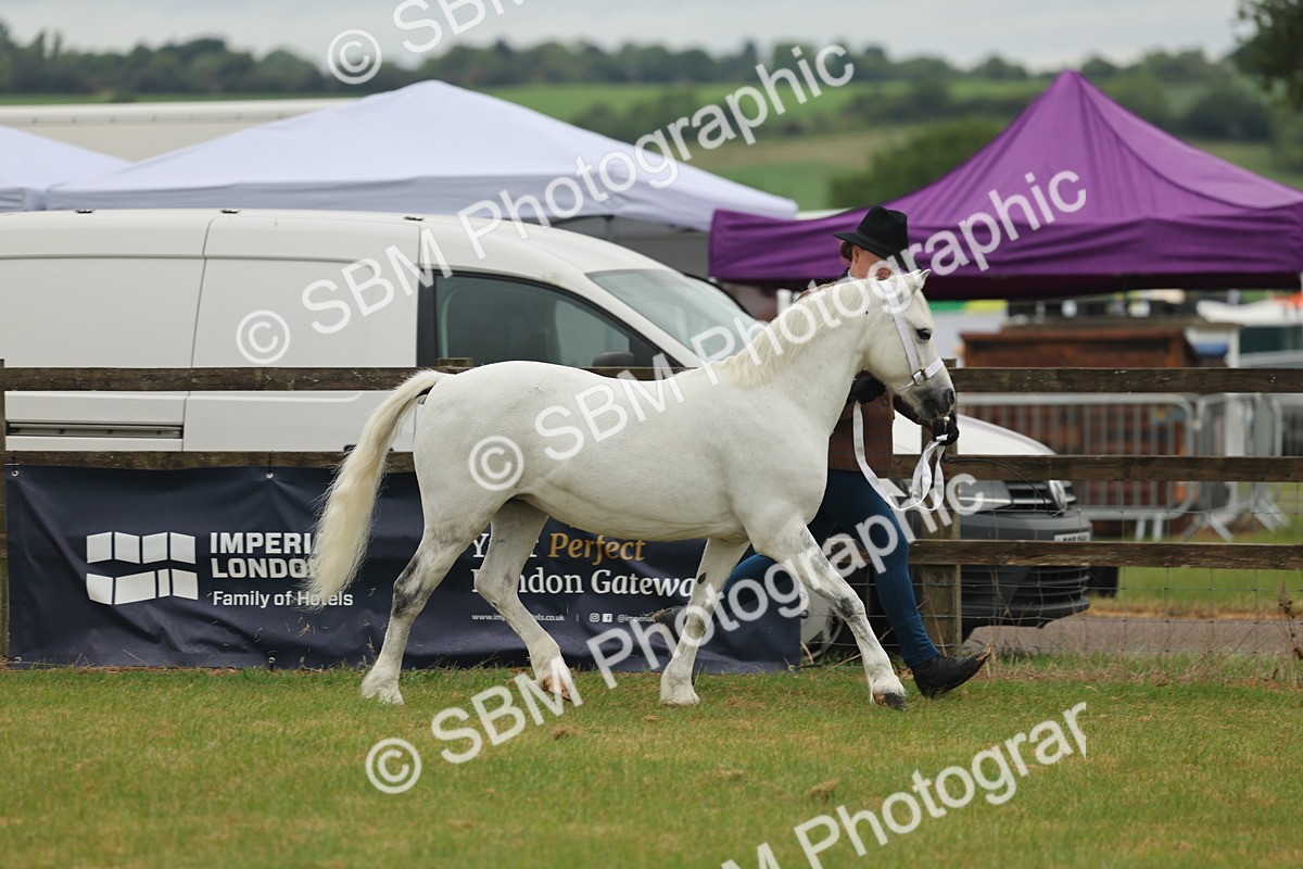 SBM_01509 - Class 50-57 - M&M Welsh Pony In Hand