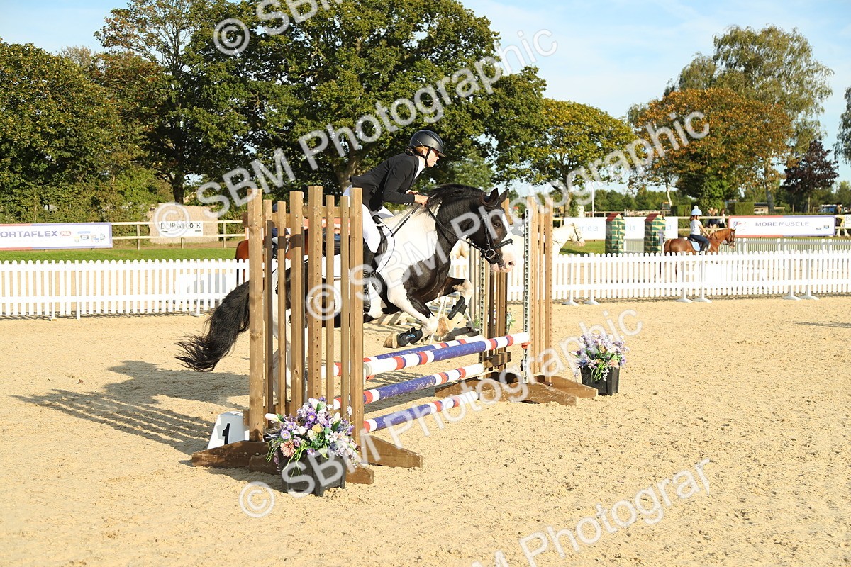 SBM_53599 - J8 - Junior Pony 65cm Championship