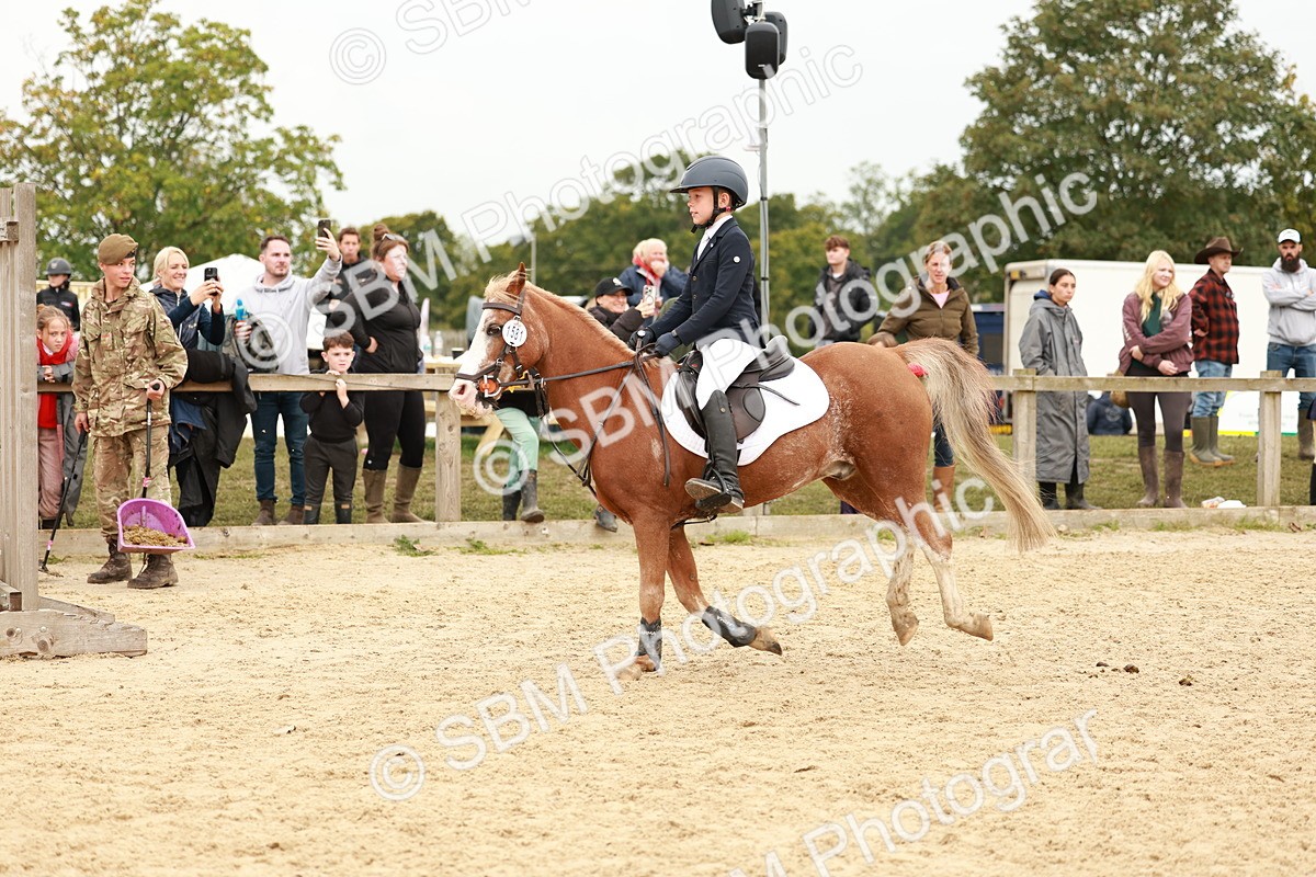 SBM_58132 - J11 - Junior Pony 50cm Championship