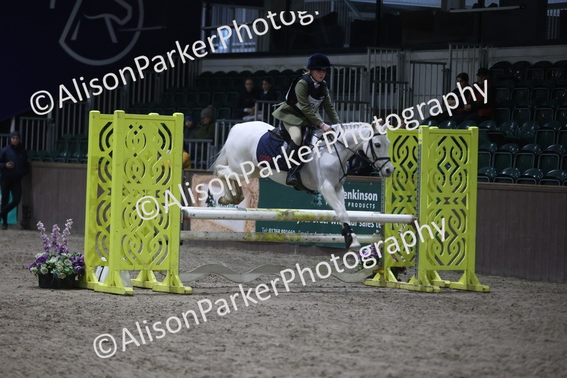 20260125-5155 - Class 5 - 80cm