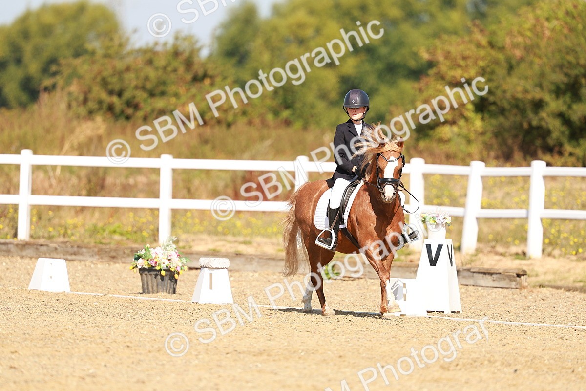 SBM_017568 - Class 9 - N5 Bronze 10.33.11.36
