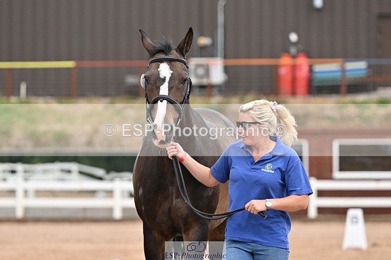 250716-155804-02303 - Trot Up 3.30 to 4.30