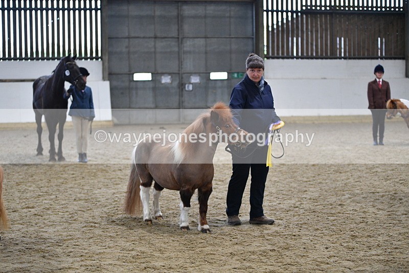 WJ5_5164 - Class 7 In hand coloured / odd coloured