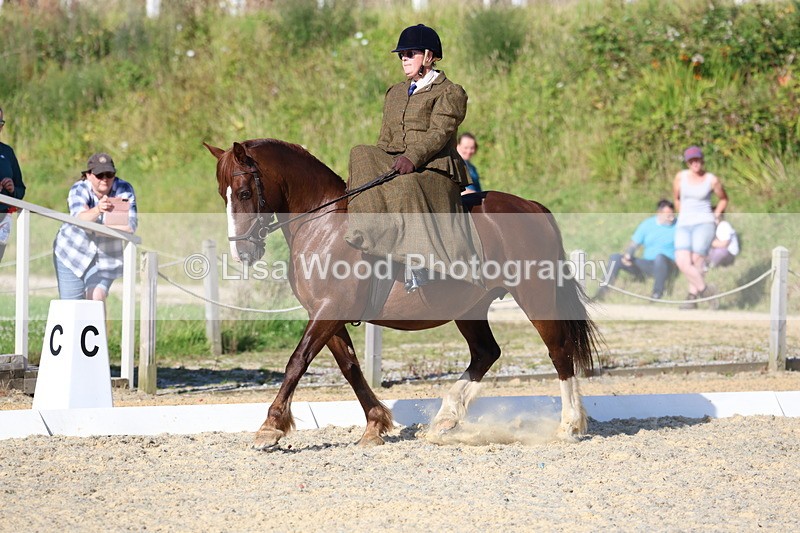 3E7A3460 - Class 2: Intro 1 2024 Section B