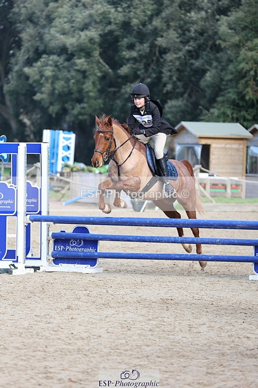 250209A-120601-01038 - 80cm 11.10 to End