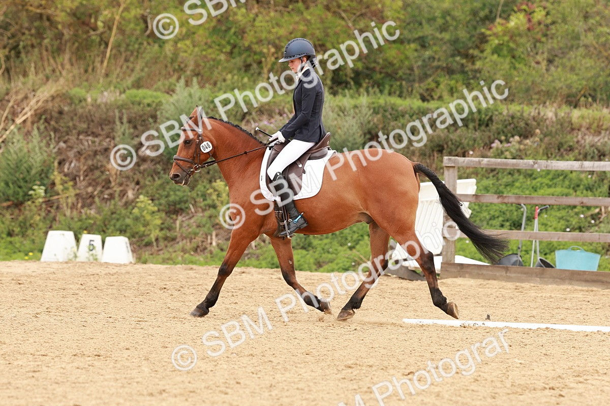 SBM_002661 - Novice 2