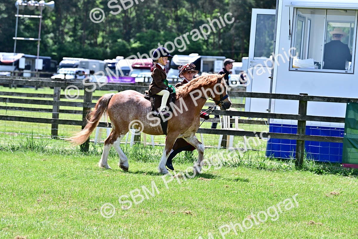 SBM_06002 - Class 59-60 - TSR M&M  Lear Rein and First Ridden Amateur of the year