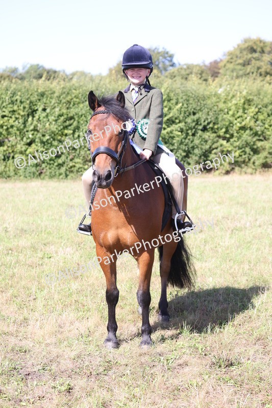 20260906-2320 - Class 16 - Family Pony