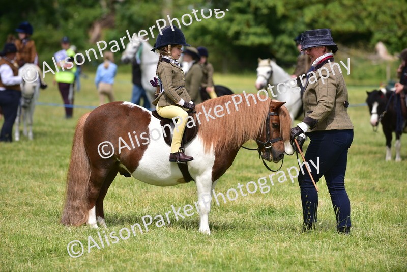 20260614-1264 - Class 11a - Lead Rein Pony (Unplaited)