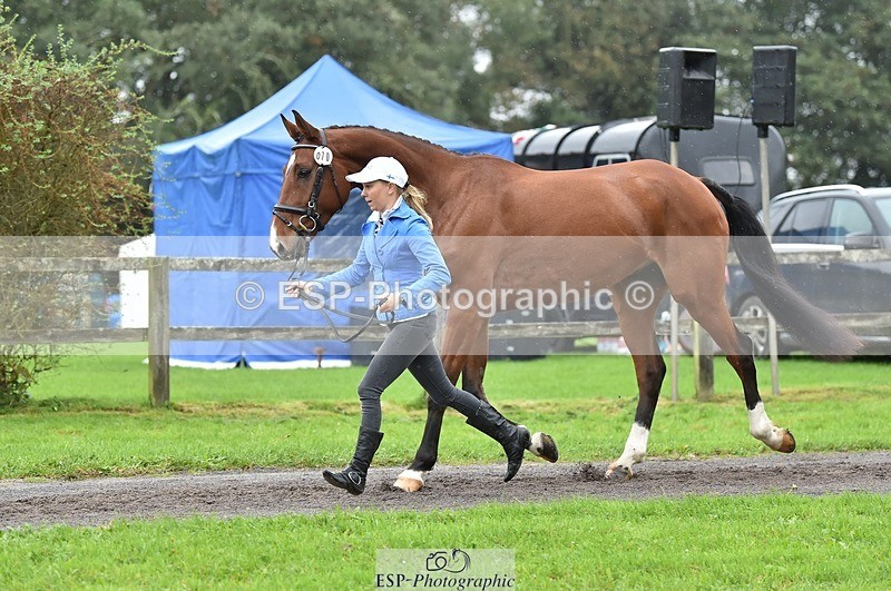 231018-124940-00551 - 070-SLIGO.CASTLE.JACOMAR-Veera.Peltokangas-TrotUp