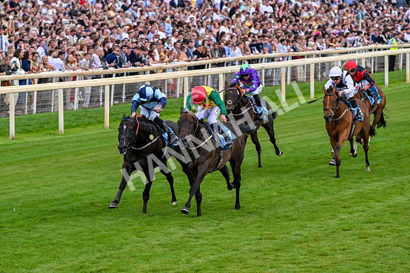 250726-Race 7-Flight Control-1317 - Race 7 16.52pm Sky Bet Extra Places Handicap