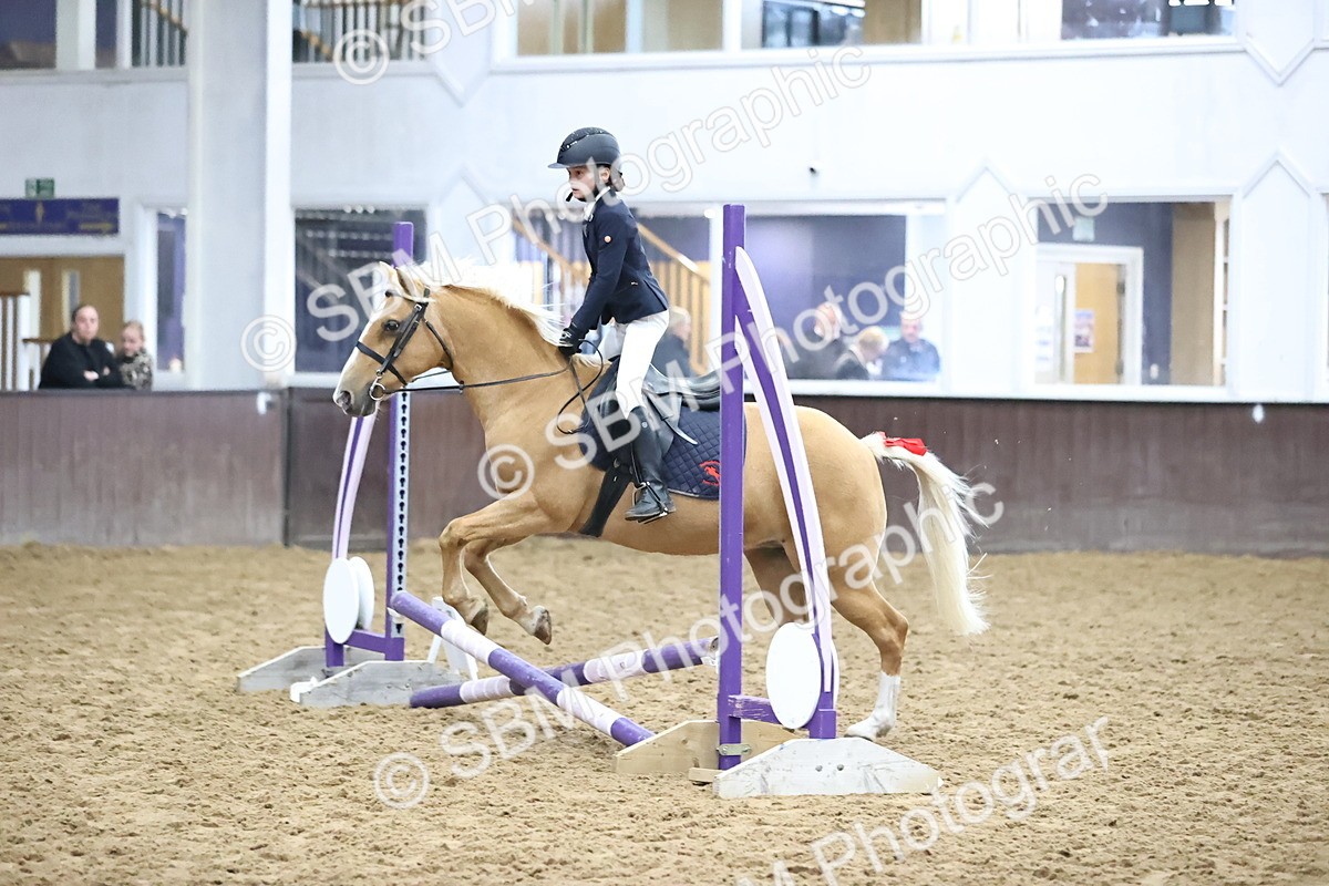 SBM_000104 - Class 2 - The Rug Lady 40cm Area 12 Championship Qualifier