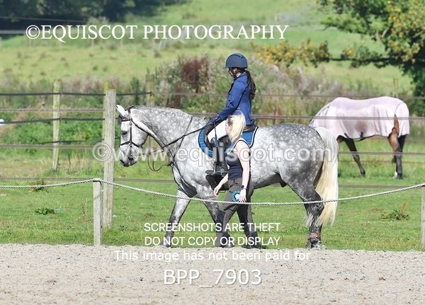 BPP_7903 - CLASS 3 Senior BritiNovice/ 90cm Open