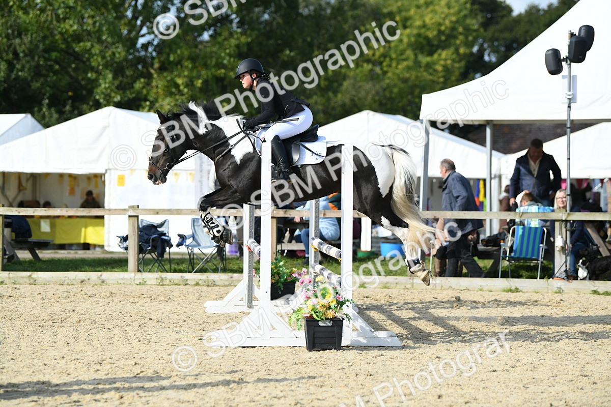 SBM_60751 - j25 - Junior Horse 80cm Championship