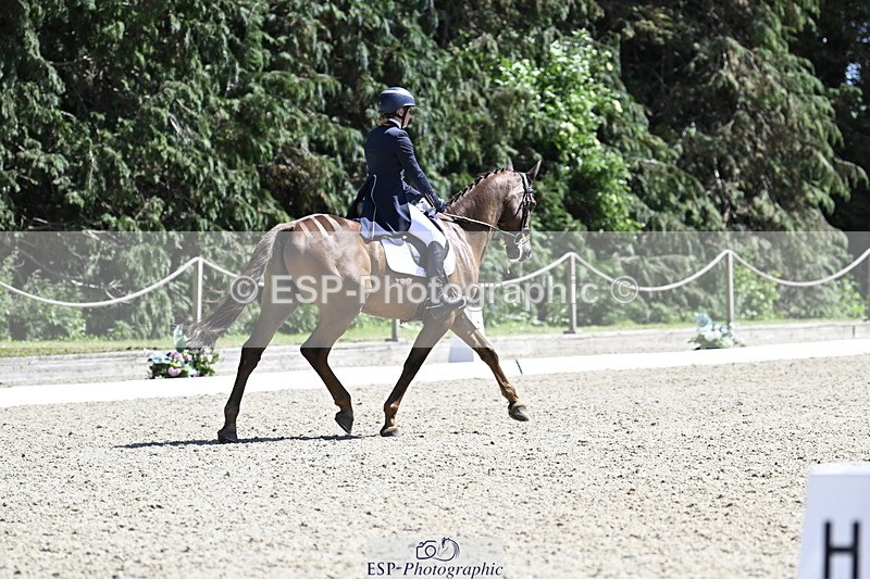 250522A-150205-03738 - D-402-Isabelle.Cook-CYMOON.F.Z