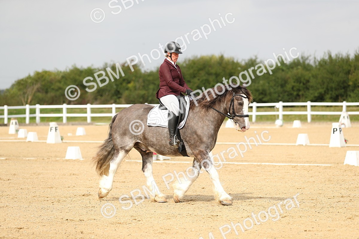 SBM_017321 - Class 13 - Novice 23 - 13.31-14.13