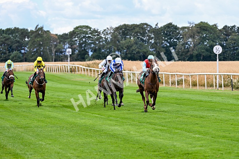 010826-Race 1-Battle Fever-1853 - Race 1 13.38pm John & Paula 25th Wedding Anniversary EBF Novice Stakes